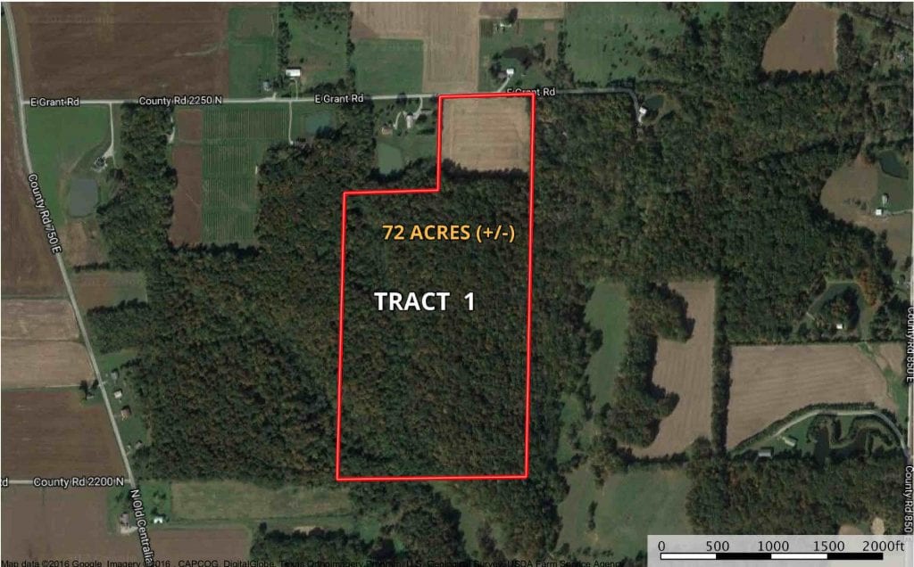 Absolute Land Auction
